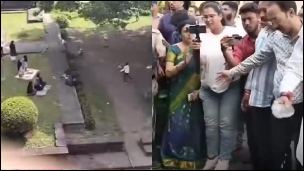 વાયરલ વીડિયોમાંથી સ્ક્રીન શૉટ (તસવીર: X)