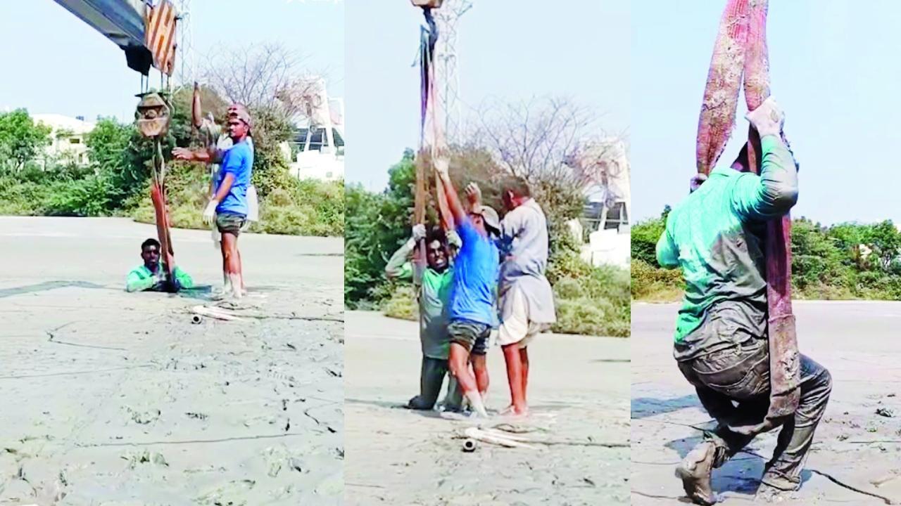 વાયરલ વીડિયોમાંથી સ્ક્રીન શૉટ