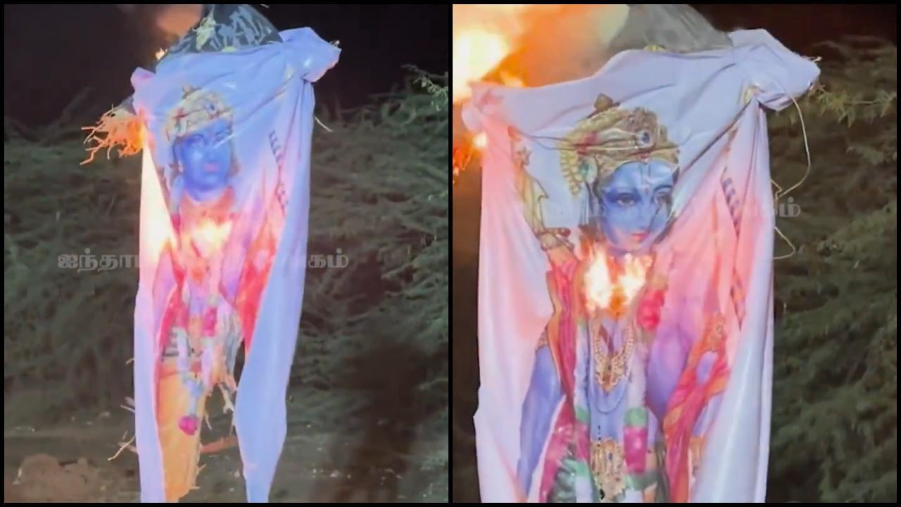 વાયરલ વીડિયોનો સ્ક્રીનગ્રૅબ (તસવીર સૌજન્ય: સોશિયલ મીડિયા) 