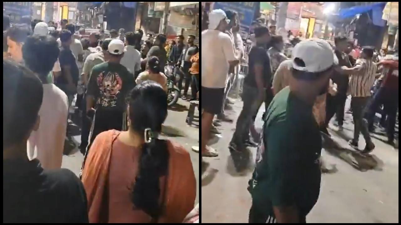 વાયરલ વીડિયોનો સ્ક્રીનગ્રૅબ (તસવીર સૌજન્ય: સોશિયલ મીડિયા) 