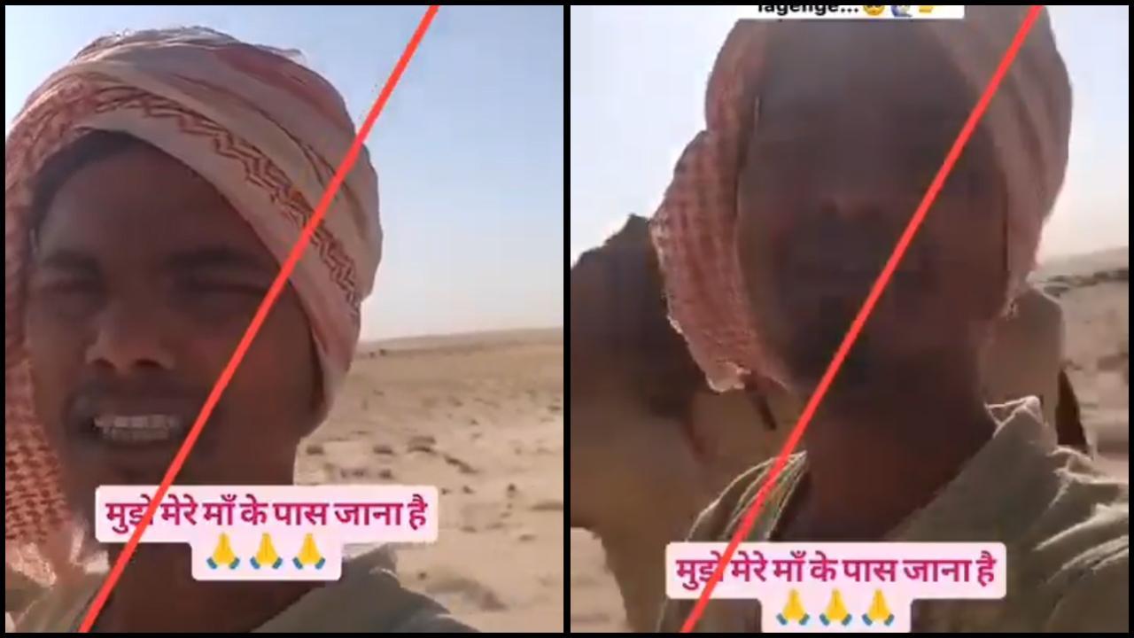 વાયરલ વીડિયોનો સ્ક્રીનગ્રૅબ (તસવીર સૌજન્ય: સોશિયલ મીડિયા)