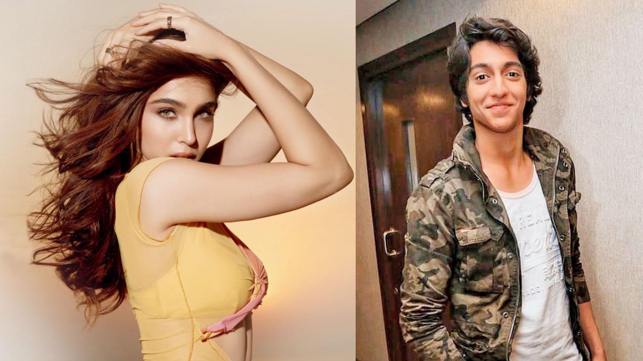 શર્વરી વાઘ, અહાન પાંડે