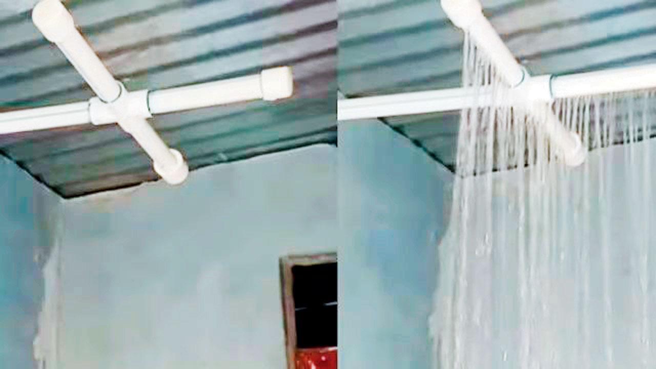 તસવીર સૌજન્યઃ સોશ્યલ મીડિયા