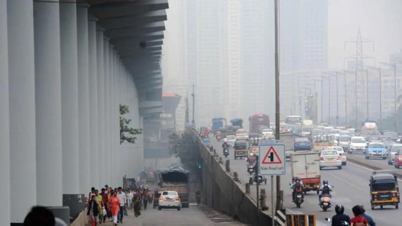 ફાઇલ તસવીર