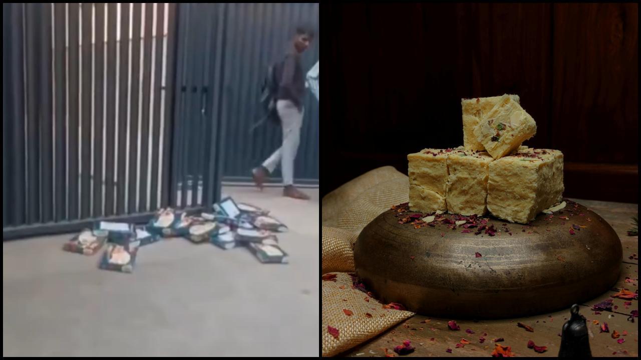 વાયરલ વીડિયોમાંથી સ્ક્રીન શૉટ (તસવીર: X)