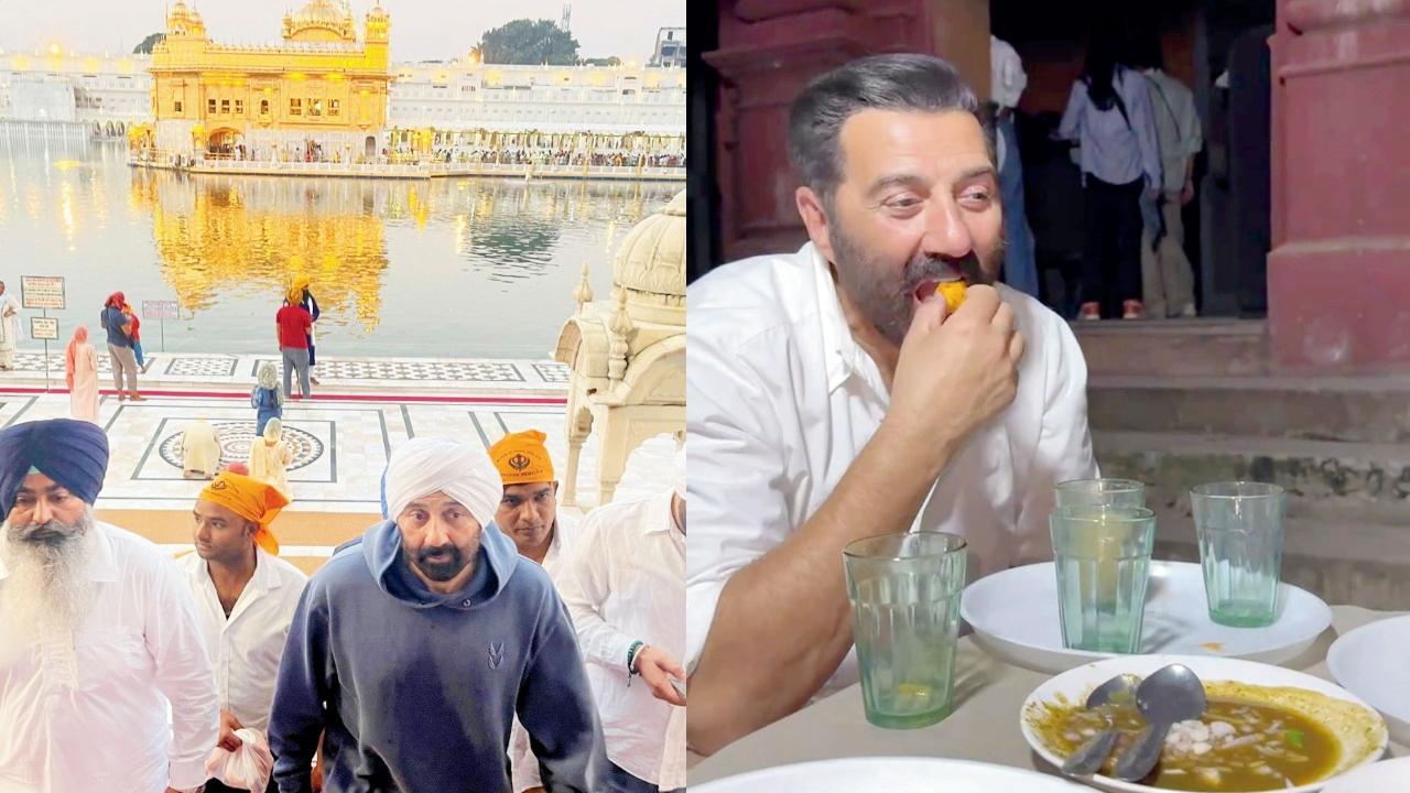 તસવીર સૌજન્યઃ સોશ્યલ મીડિયા