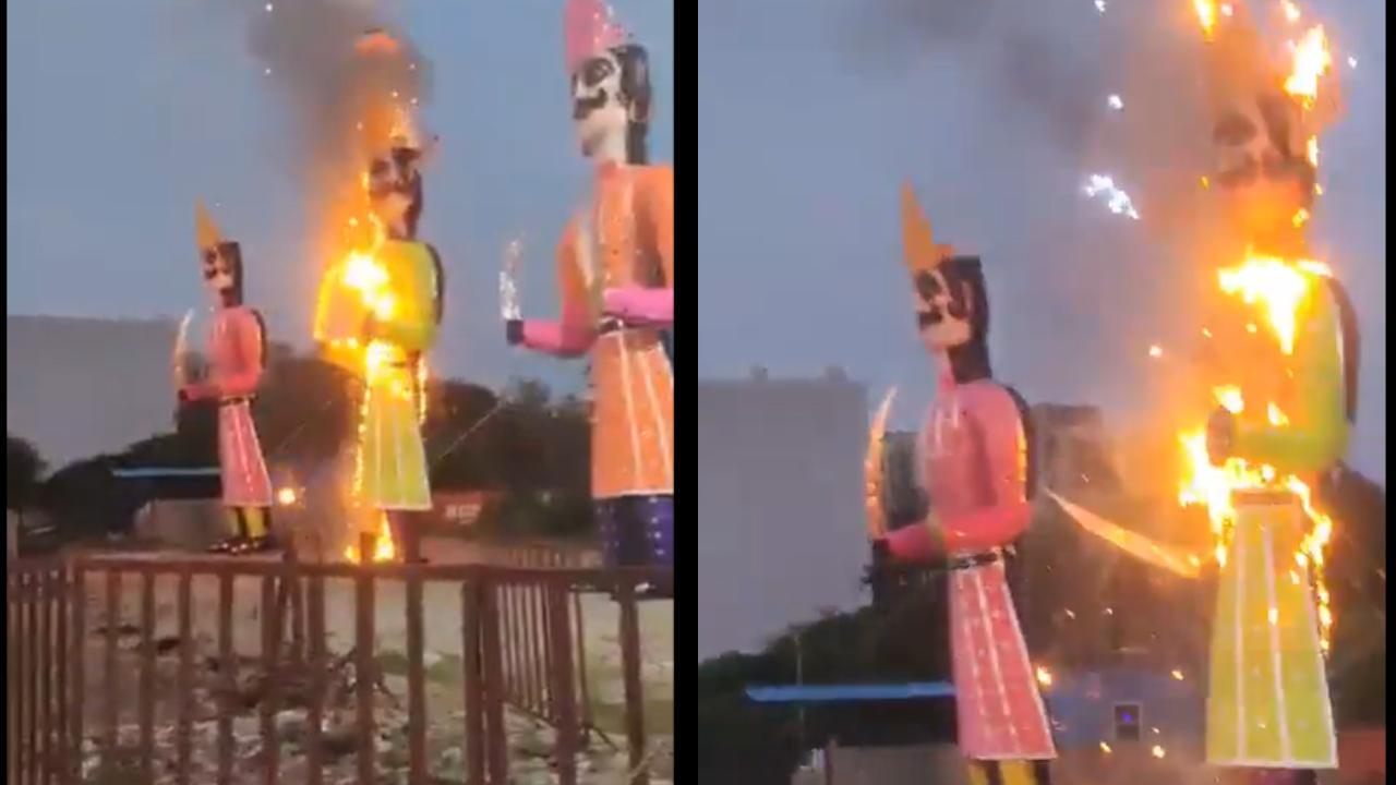 વાયરલ વીડિયોમાંથી સ્ક્રીન શૉટ (તસવીર: X)