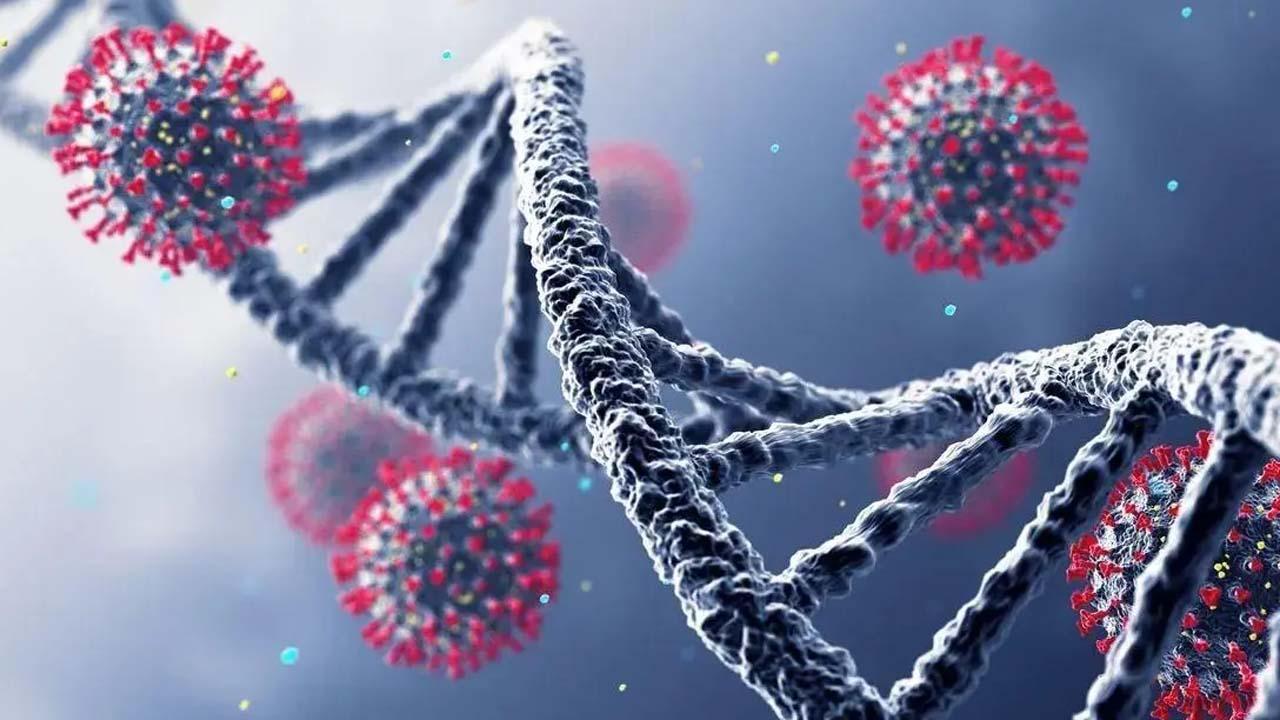 પ્રતીકાત્મક તસવીર