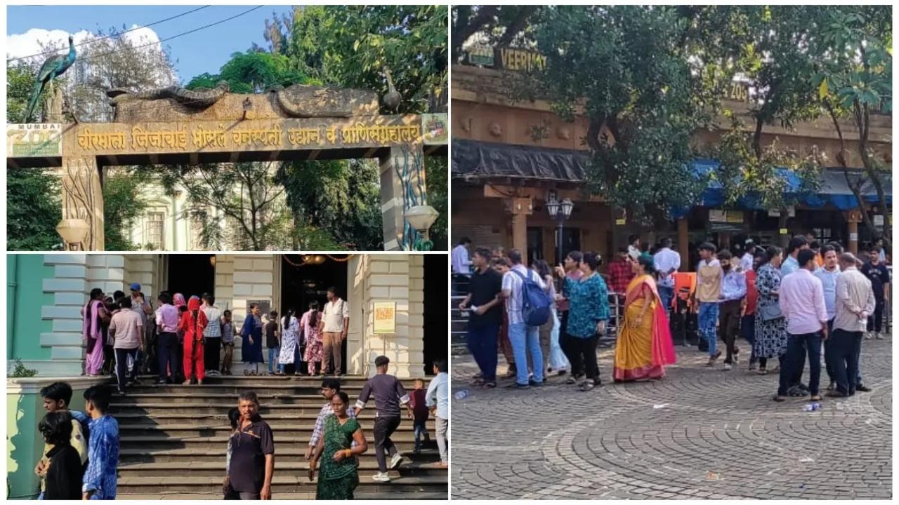 મુંબઈ: દિવાળીની રજાઓ દરમિયાન રાણીબાગમાં સહેલાણીઓ ઊમટ્યા