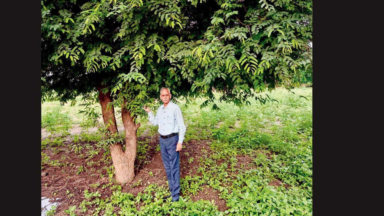 આંબલીના ઝાડ સાથે ડૉ. મહેશકુમાર દધિચ