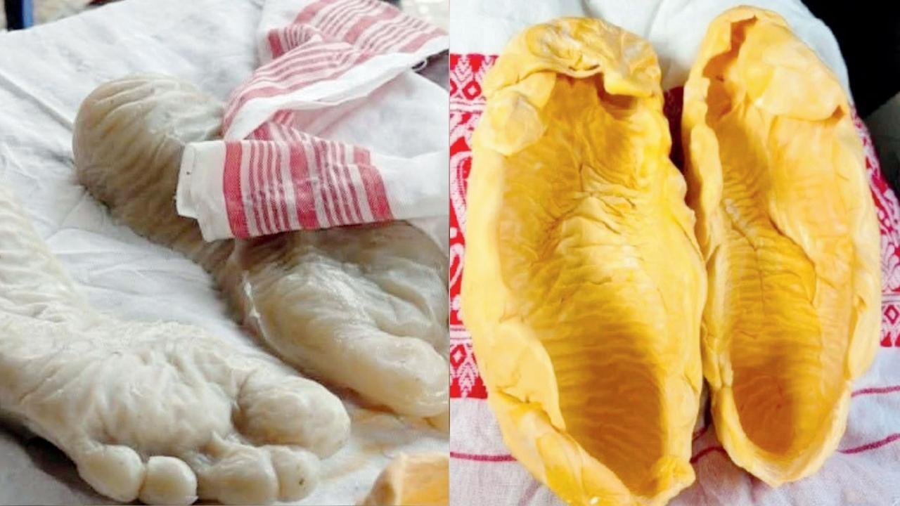 ઝુબીન ગર્ગના પાર્થિવ દેહના પગ પરથી લેવાયેલી છાપ