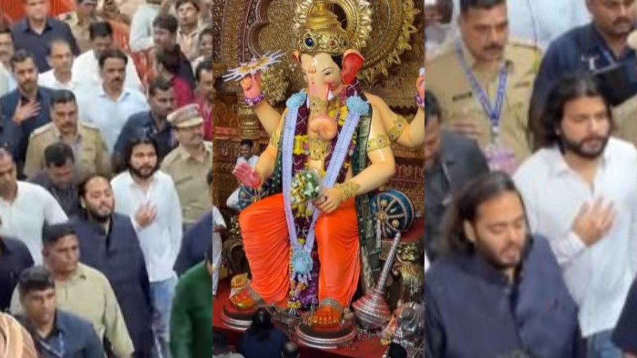 વીડિયોમાંથી લીધેલા સ્ક્રિનશૉટ્સ