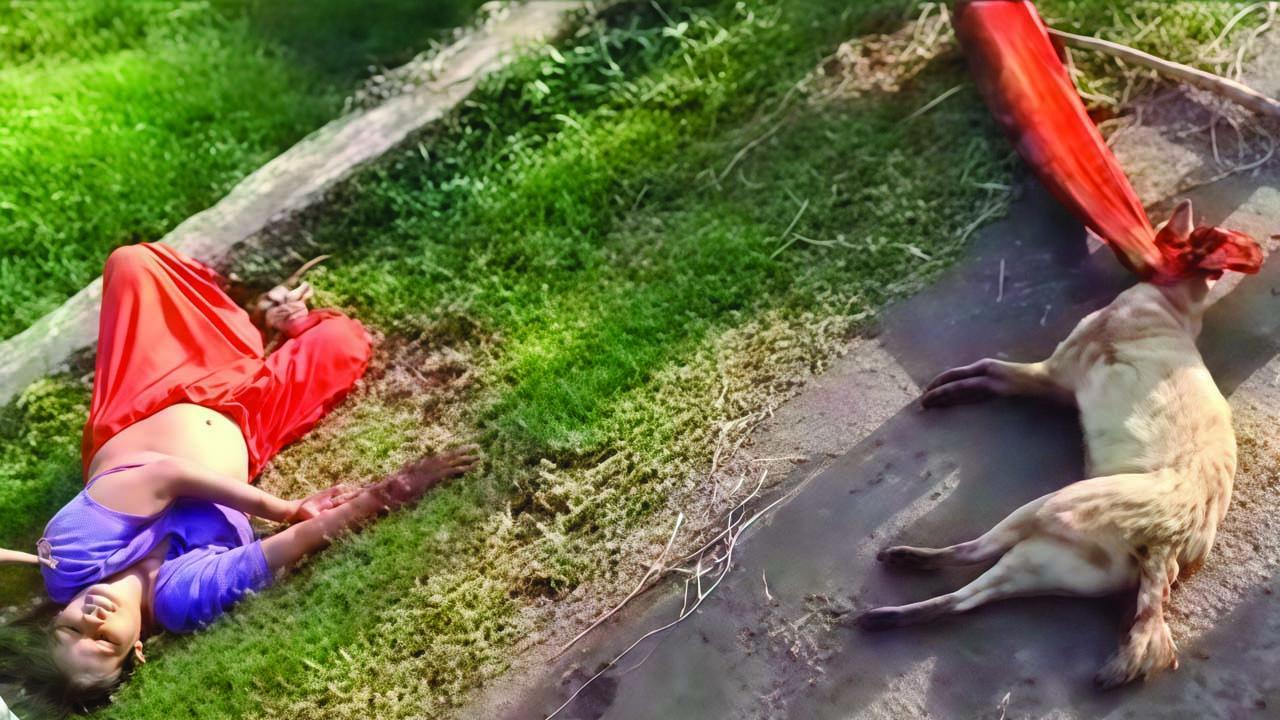 વાયરલ વીડિયોમાંથી સ્ક્રીન શૉટ