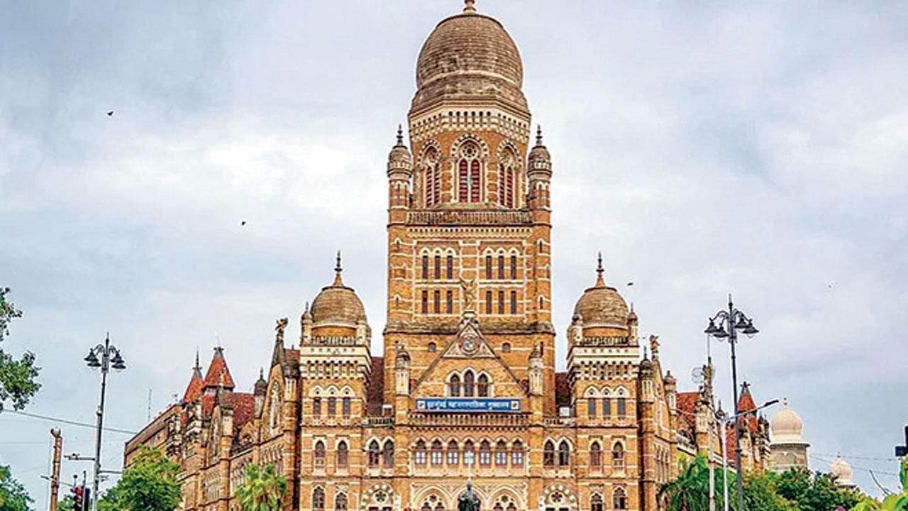 બૃહન્મુંબઈ મ્યુનિસિપલ કૉર્પોરેશન (BMC)
