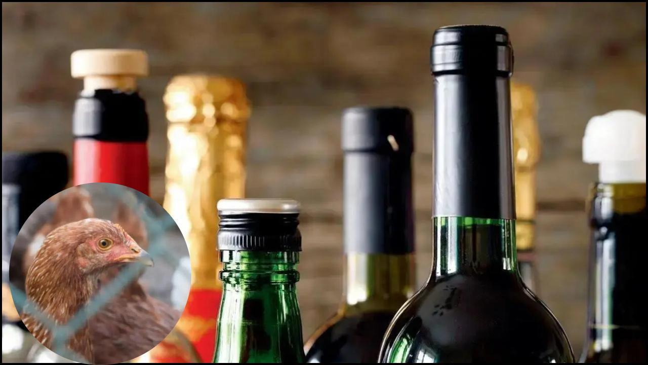 પ્રતિકાત્મક તસવીર: સૌજન્ય મિડ-ડે