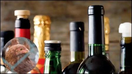 પ્રતિકાત્મક તસવીર: સૌજન્ય મિડ-ડે