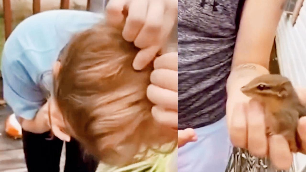 તસવીર સૌજન્યઃ સોશ્યલ મીડિયા