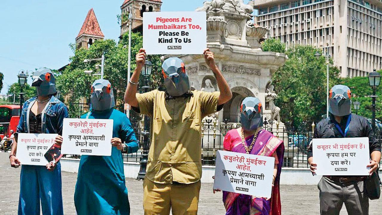 બૂતરખાનાંઓ બંધ થવાના વિરોધમાં પીપલ ફૉર ધી એથિકલ ટ્રીટમેન્ટ ઑફ ઍનિમલ્સ (PETA)ના સભ્યોએ કબૂતરનો માસ્ક પહેરીને અમે પણ મુંબઈકર એવા સ્લોગન સાથે દેખાવો કર્યા હતા.