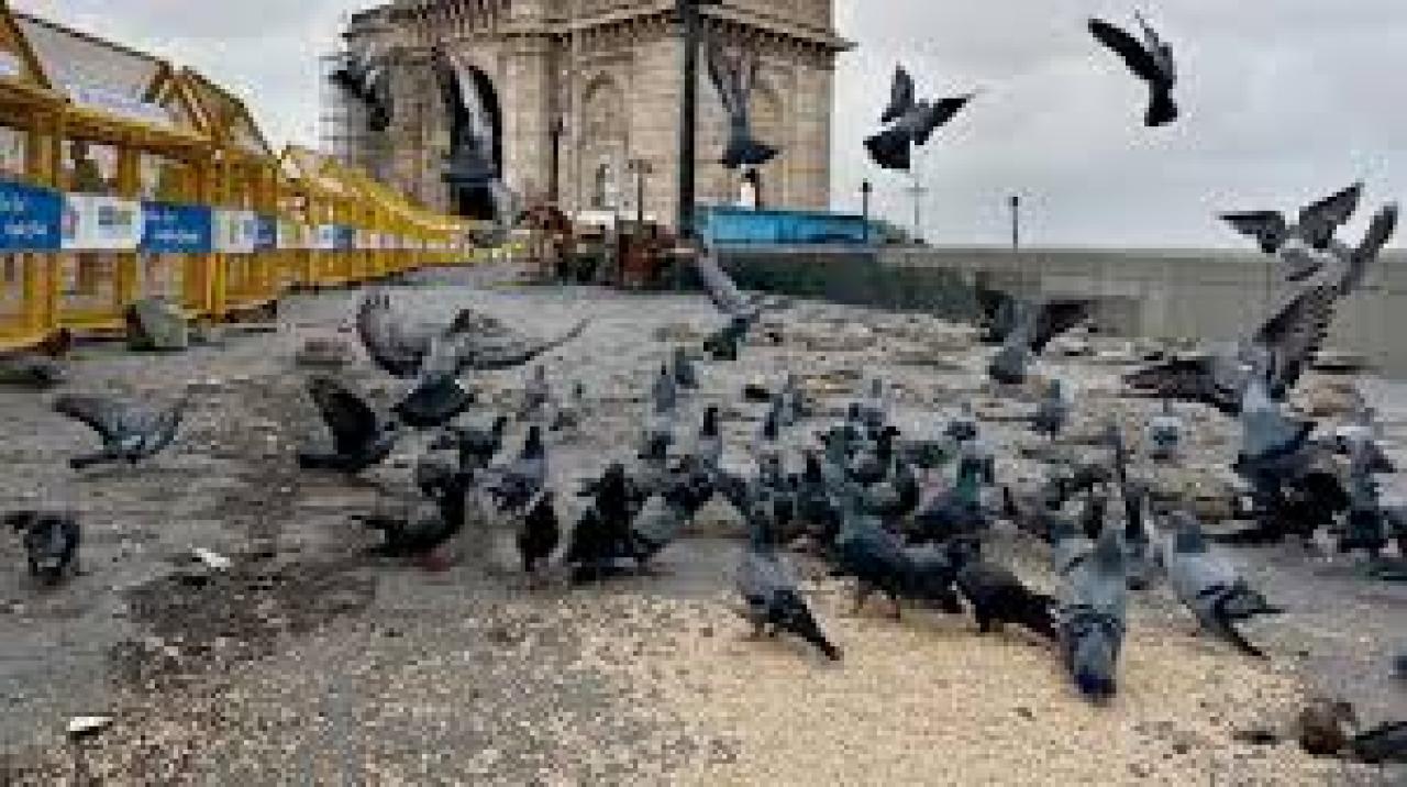 પ્રતીકાત્મક તસવીર