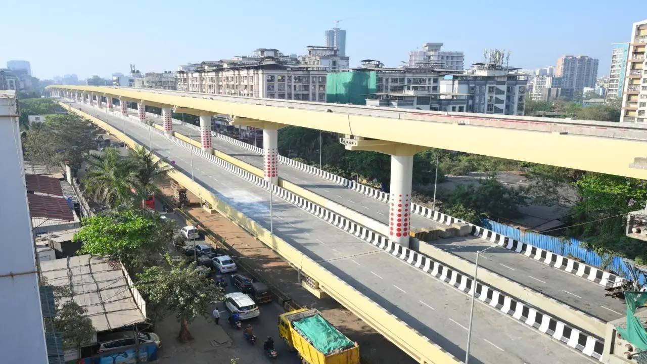 પ્રતીકાત્મક તસવીર