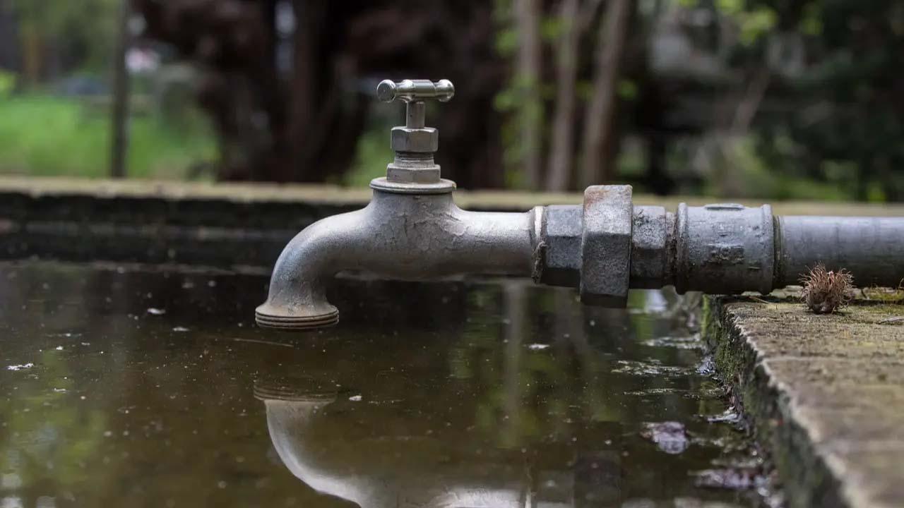 પ્રતીકાત્મક તસવીર