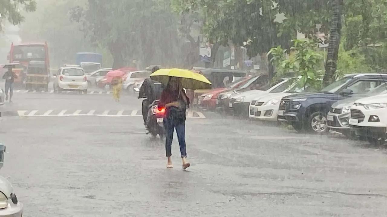 પ્રતીકાત્મક તસવીર