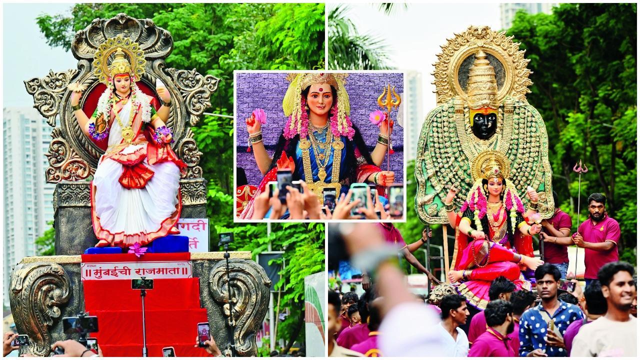  તસવીરો : શાદાબ ખાન