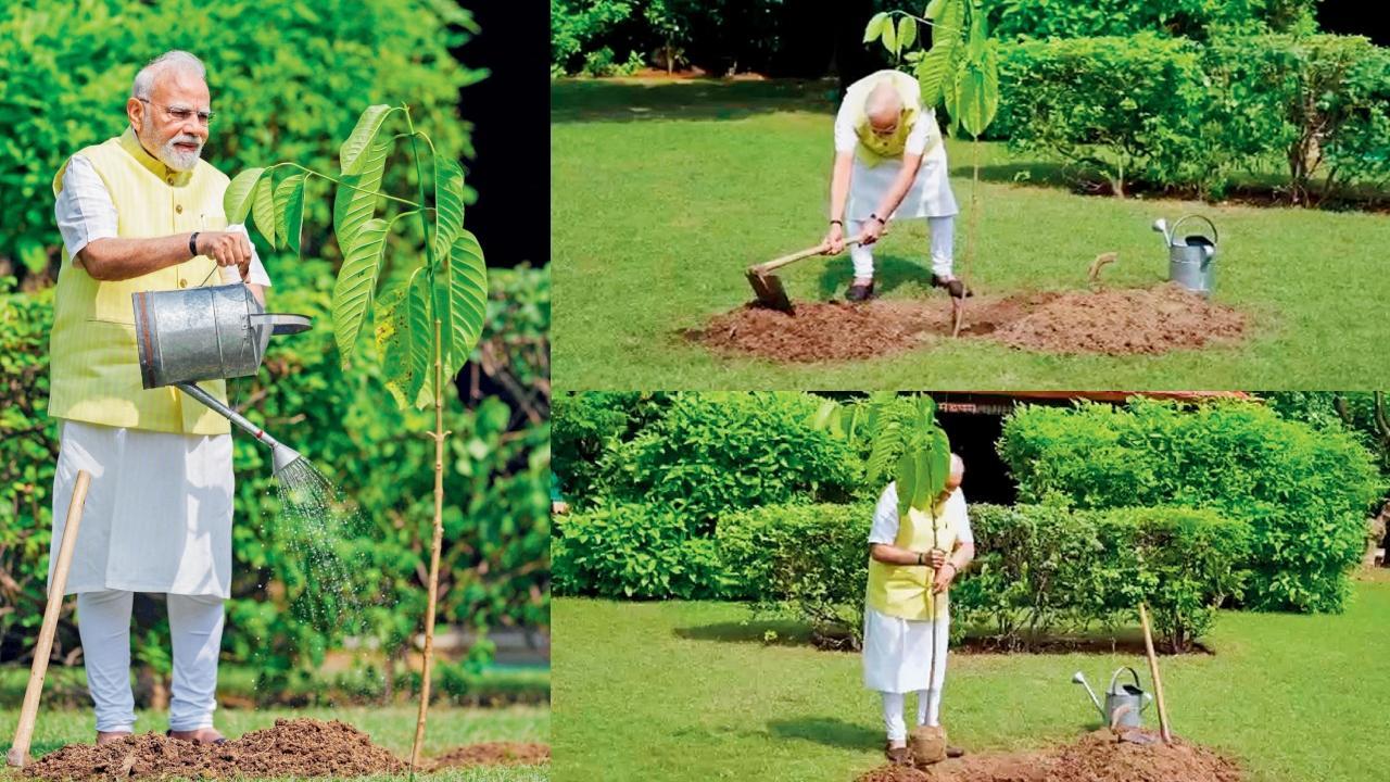 તસવીર સૌજન્યઃ સોશ્યલ મીડિયા