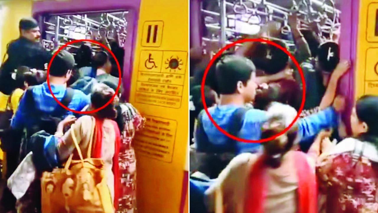 વાયરલ વીડિયોમાંથી સ્ક્રીન શૉટ