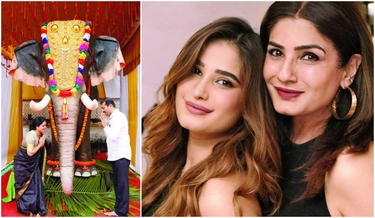 ઐરાવત એ PETA અને સ્ટાર્સની મદદથી વિવિધ મંદિરોને ભેટ અપાયેલો બારમો યાંત્રિક હાથી છે.