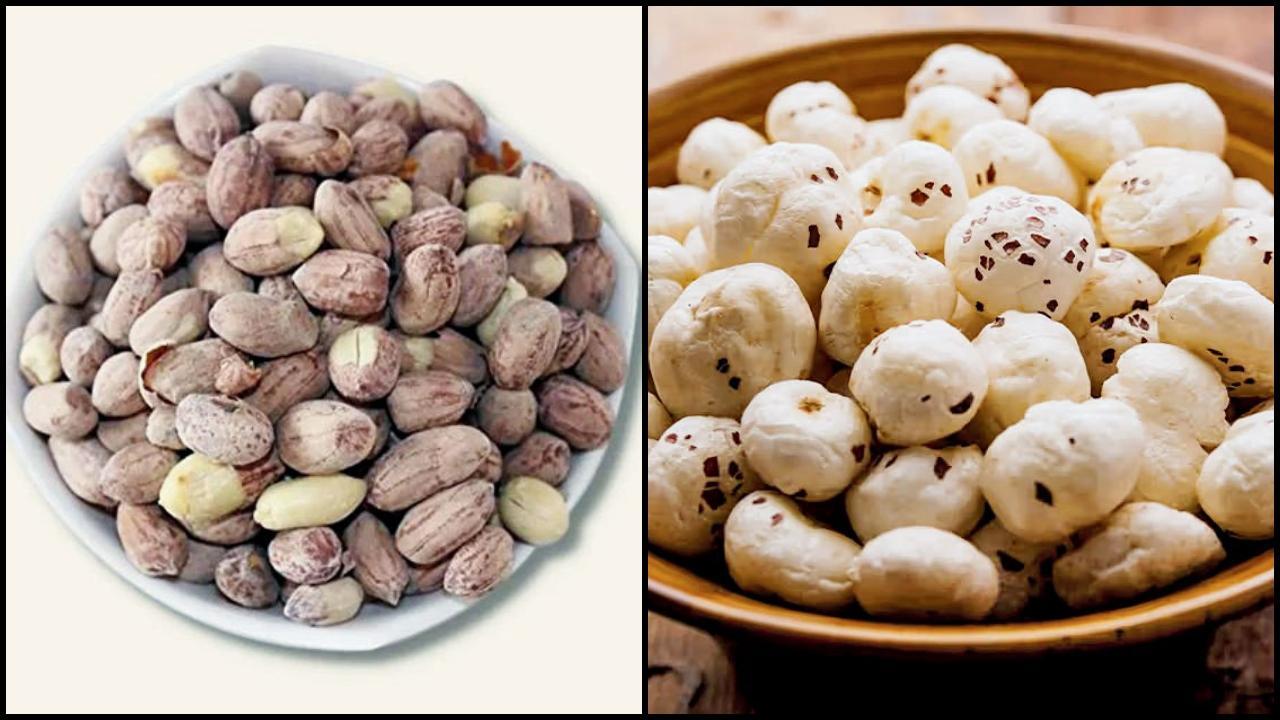 પ્રતીકાત્મક તસવીર