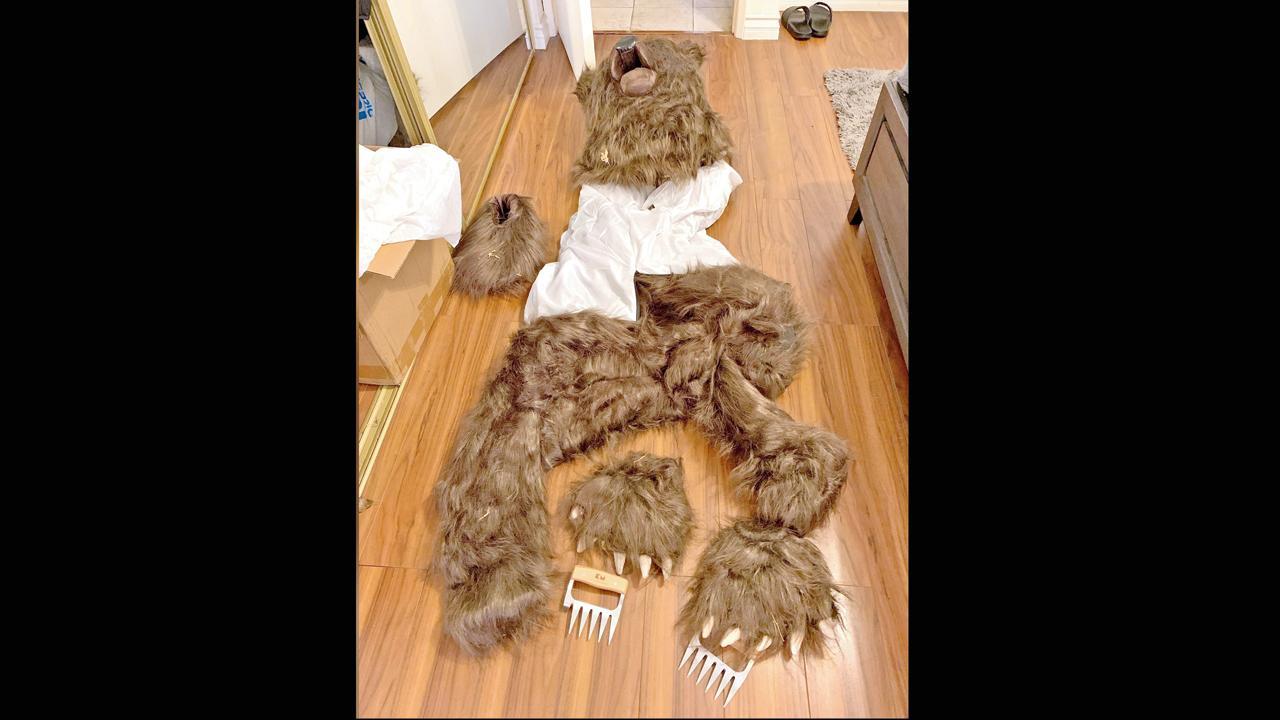 ચાર ભેજાબાજ અમેરિકનોએ રીંછનો કૉસ્ચ્યુમ પહેરીને કર્યું ઇન્શ્યૉરન્સ સ્કૅમ