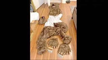 ચાર ભેજાબાજ અમેરિકનોએ રીંછનો કૉસ્ચ્યુમ પહેરીને કર્યું ઇન્શ્યૉરન્સ સ્કૅમ