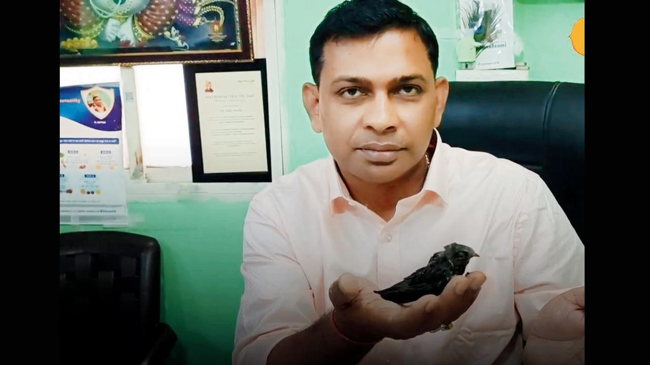 ઘાયલ પંખીનું બચ્ચું જાતે ડૉક્ટર પાસે પહોંચ્યું, ઇલાજ પછી હવે પંખી...