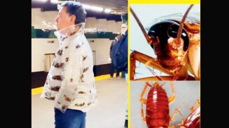 ન્યુ યૉર્કના સબવેમાં જીવતા વાંદાવાળું જૅકેટ પહેરીને ઘૂમતો દેખાયો માણસ