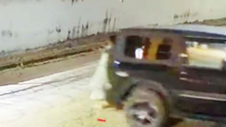 વાઇરલ વિડીયોમાંથી સ્ક્રીનશૉટ