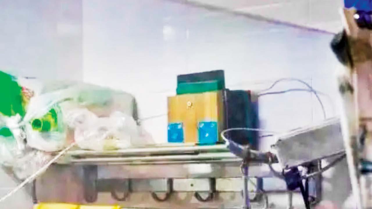 વાઇરલ વિડીયોમાંથી સ્ક્રીનશૉટ