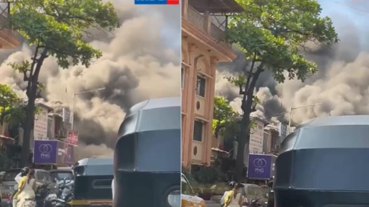 વીડિયોમાંથી લીધેલા સ્ક્રિનશોટ