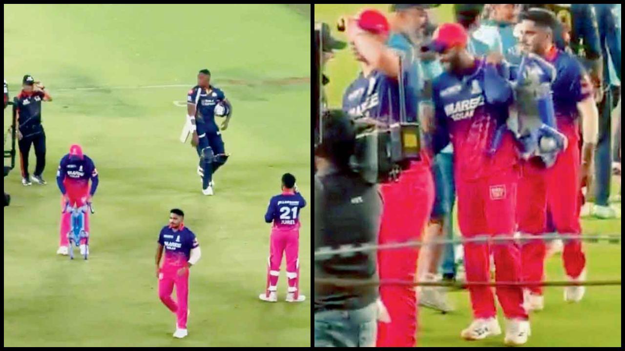 સર જાડેજાએ દિલધડક જીત બાદ રોબો-ડૉગ ચંપક સાથે મશ્કરી કરી