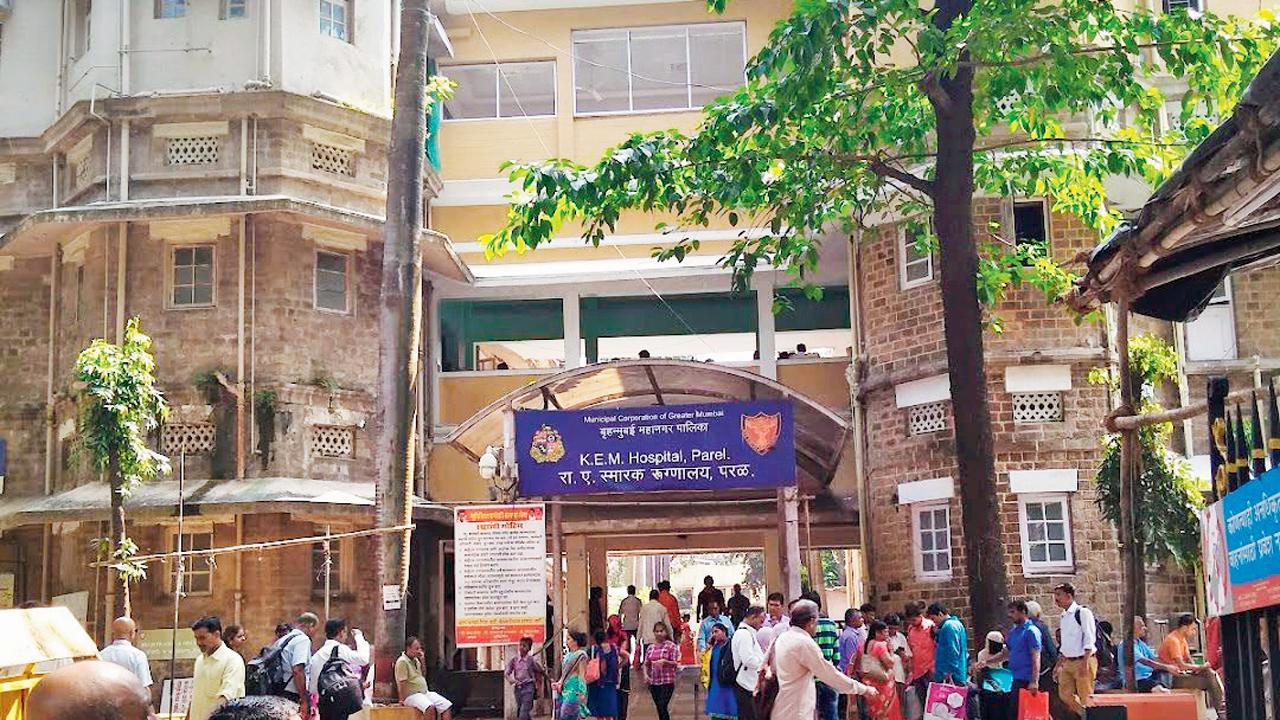 ફાઇલ તસવીર