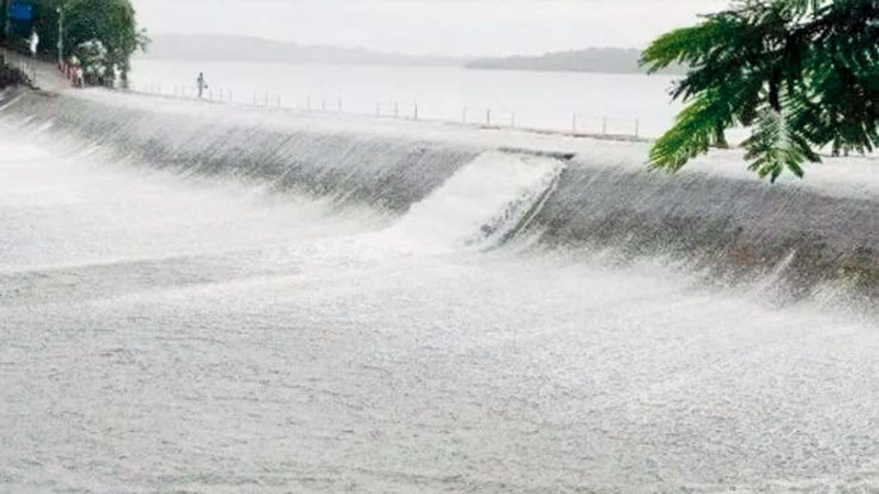 પ્રતીકાત્મક તસવીર