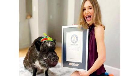 જો એની માલિકણ મીના માને નહીં તો ગુસ્સો વ્યક્ત કરવા માટે પણ ચોક્કસ બટન દબાવે છે અને વહાલ ઊભરાય ત્યારે આઇ લવ યુના બટનને જોરજોરથી ઘસી નાખે છે. 