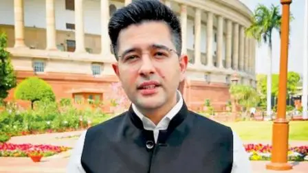 રાઘવ ચડ્ઢા (ફાઈલ તસવીર)