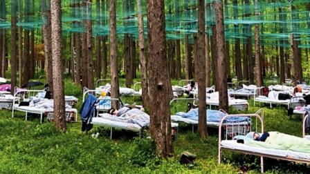 તસવીર સૌજન્યઃ સોશ્યલ મીડિયા