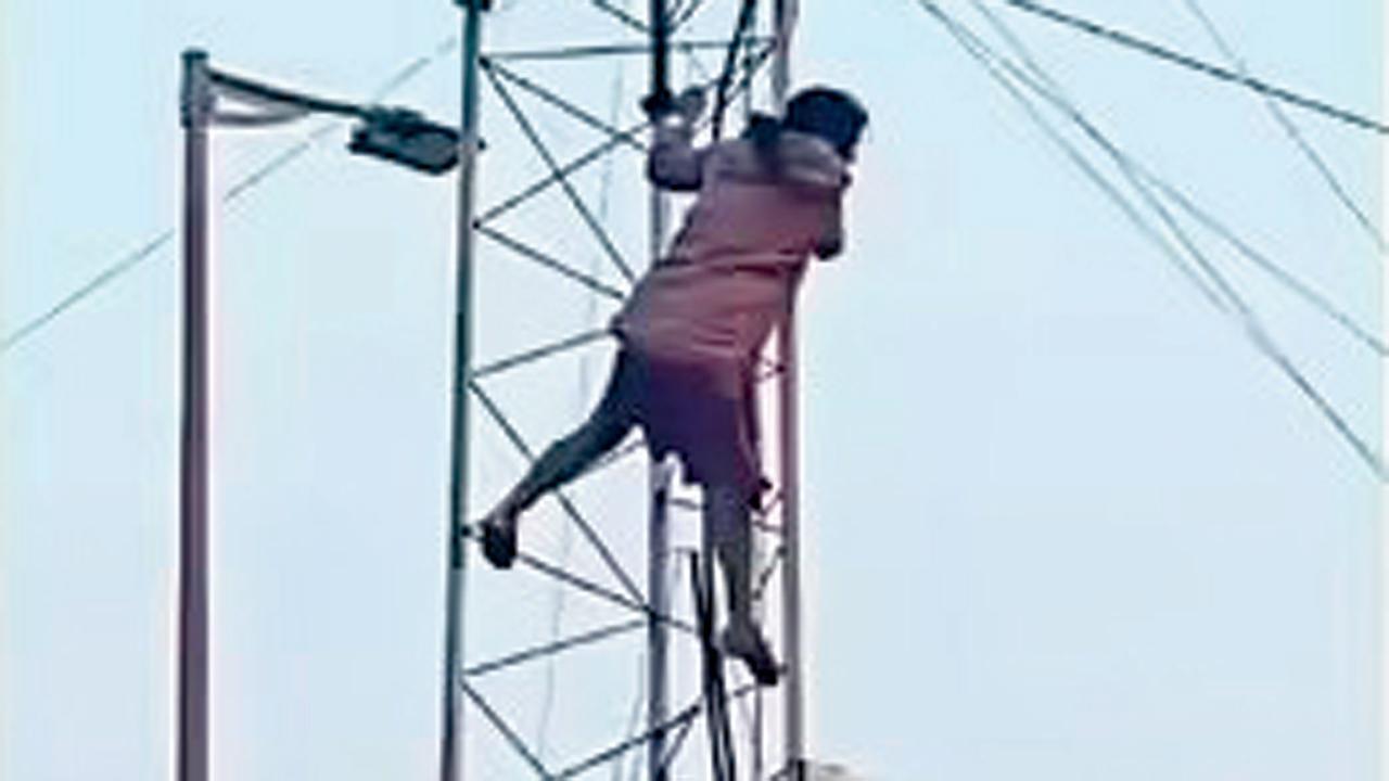 તસવીર સૌજન્યઃ સોશ્યલ મીડિયા