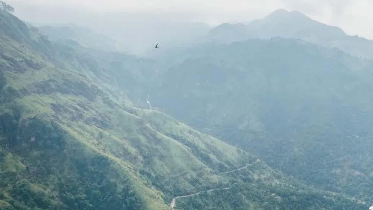 ફાઇલ તસવીર