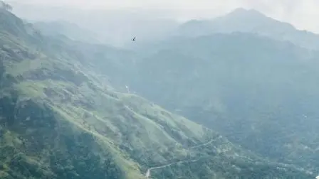 ફાઇલ તસવીર