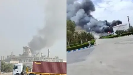 વાયરલ વીડિયોમાંથી સ્ક્રીન શૉટ (તસવીર: સોશિયલ મીડિયા)