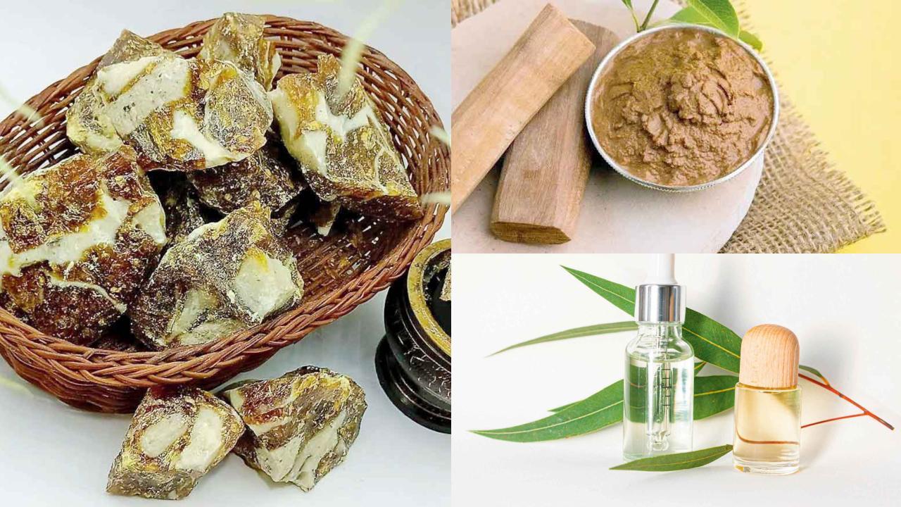 રાહુ ગ્રહને સતેજ બનાવવામાં ચંદન ને નીલગિરિ ઉપયોગી છે