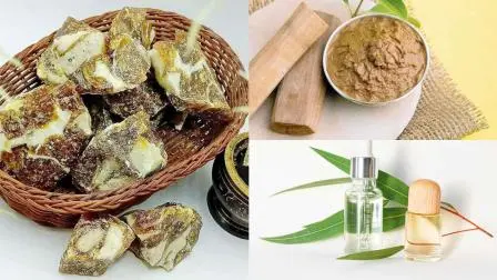 રાહુ ગ્રહને સતેજ બનાવવામાં ચંદન ને નીલગિરિ ઉપયોગી છે